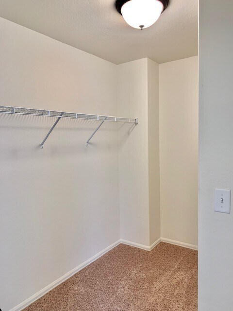 Building Photo - Spacious 3 Bedroom Home in Heron Pointe Subdivision in South Loveland/Berthoud!