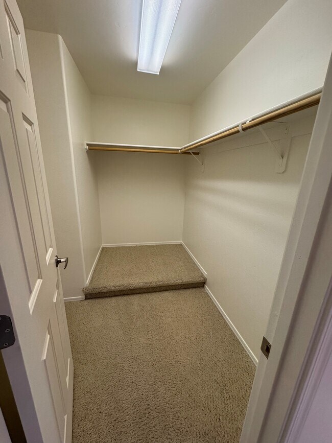 Building Photo - 2435 N Silver Mosaic Dr