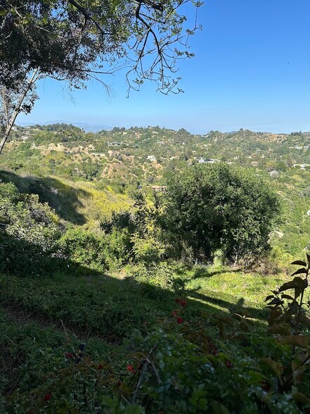 Building Photo - 10136 Hollow Glen Cir