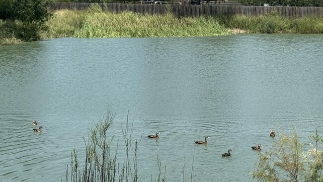 Building Photo - 4001 Peach Ln