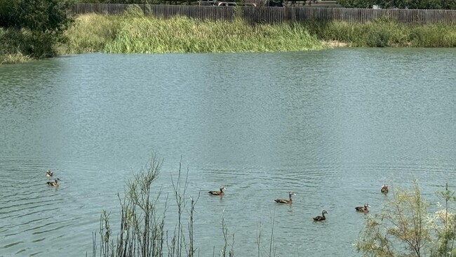 Building Photo - 800 Onyx Dr