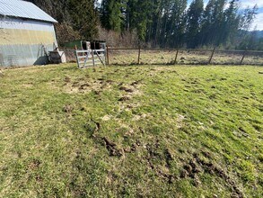 Building Photo - 2 Bedroom home with acreage for Rent | Carson, WA