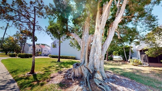 Building Photo - 6710 121st Ave N