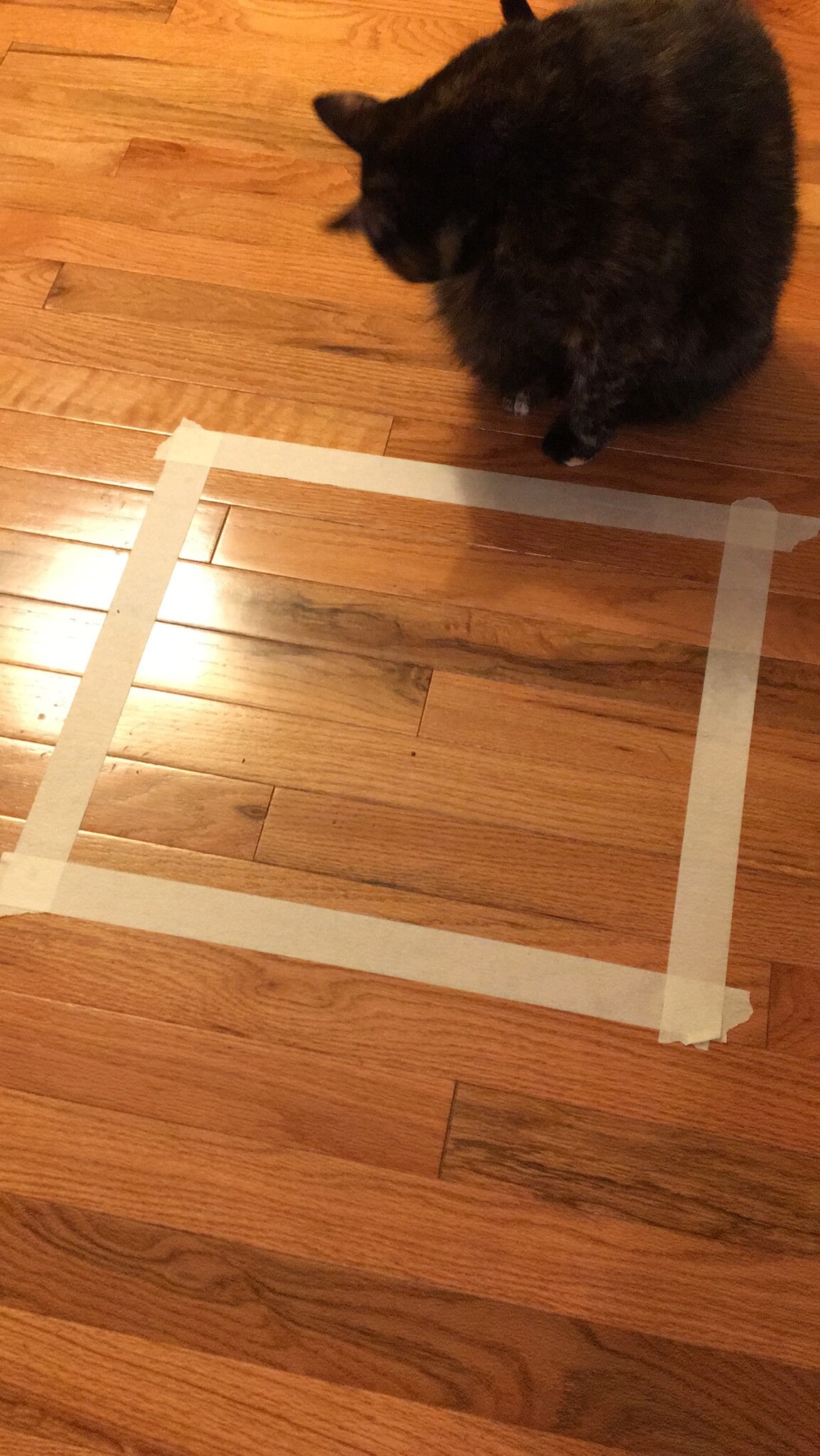 Building Photo - 5023 NE Sumner St