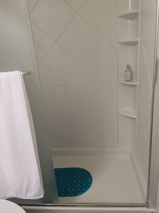 Spa shower - 7311 15th Ave NW