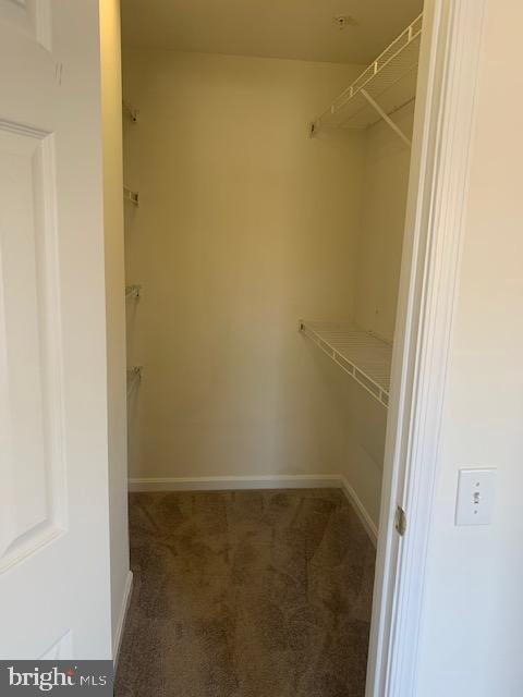 Building Photo - 4120 Vanderbilt Ct