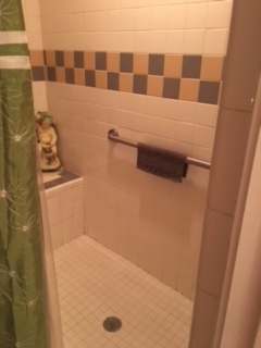 Shower view w/grab bars - 3101 Jordan Rd W