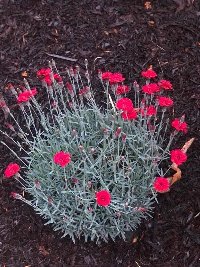 Building Photo - Heart's Desire End Unit Townhome 2700+ SqFt - Lowes Island