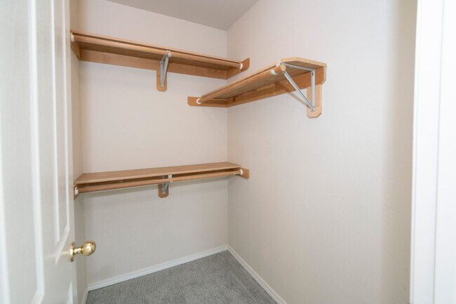 Building Photo - 5423 Cape Seville Dr