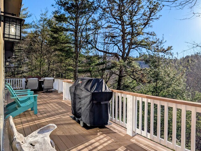 Building Photo - 842 Saddle Back Cir