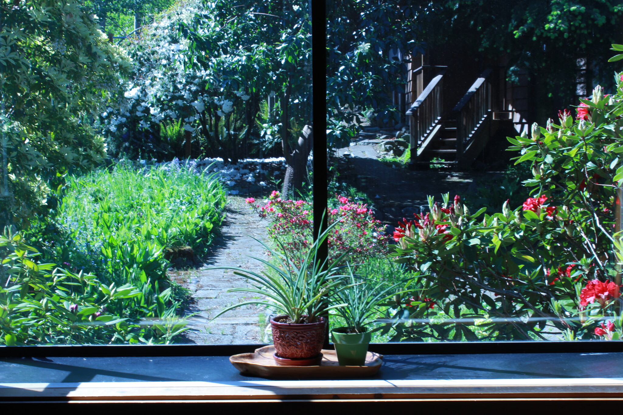 Living room window view - 1236 Northeast 103rd Street