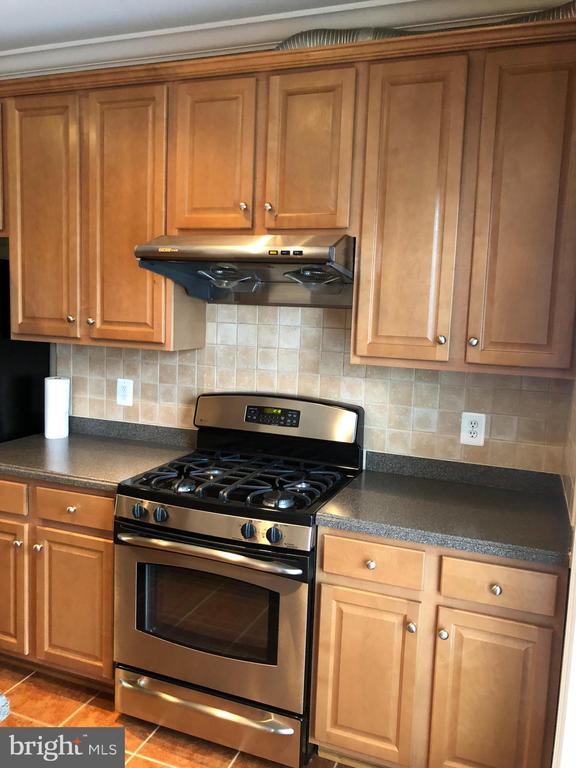 Building Photo - 2472 Terra Cotta Cir