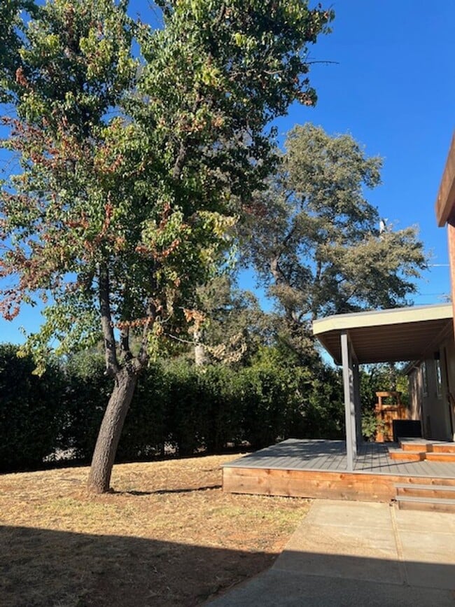 Building Photo - Modern Auburn Retreat—Fully Renovated 3BR ...