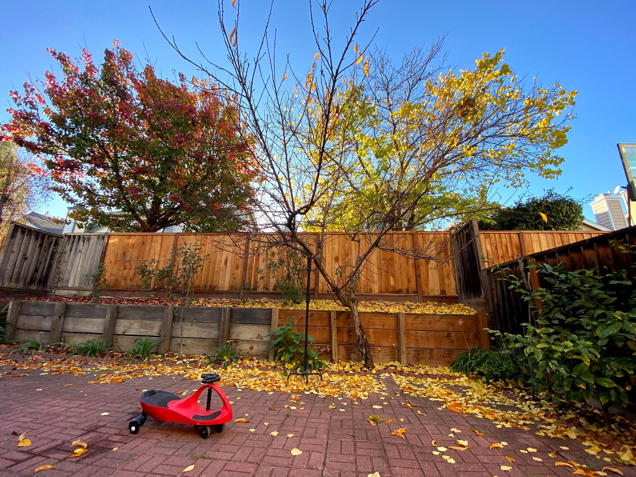 Building Photo - 34565 Vane Cmn