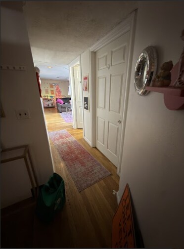 Building Photo - 26 Greylock Rd