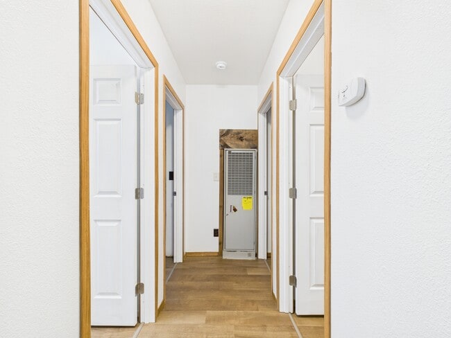 Building Photo - 2587 Rachel Ct