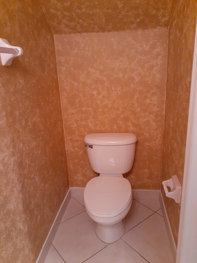 Powder room - 16159 Sierra Palms Dr