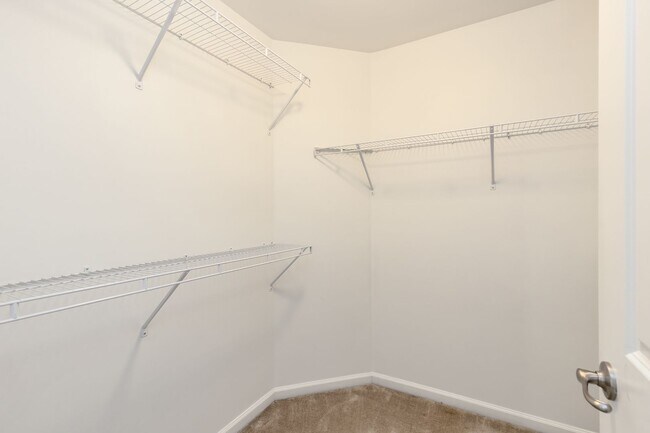 Building Photo - Spacious Home in Williamsburg - WASHINGTON RIDGE