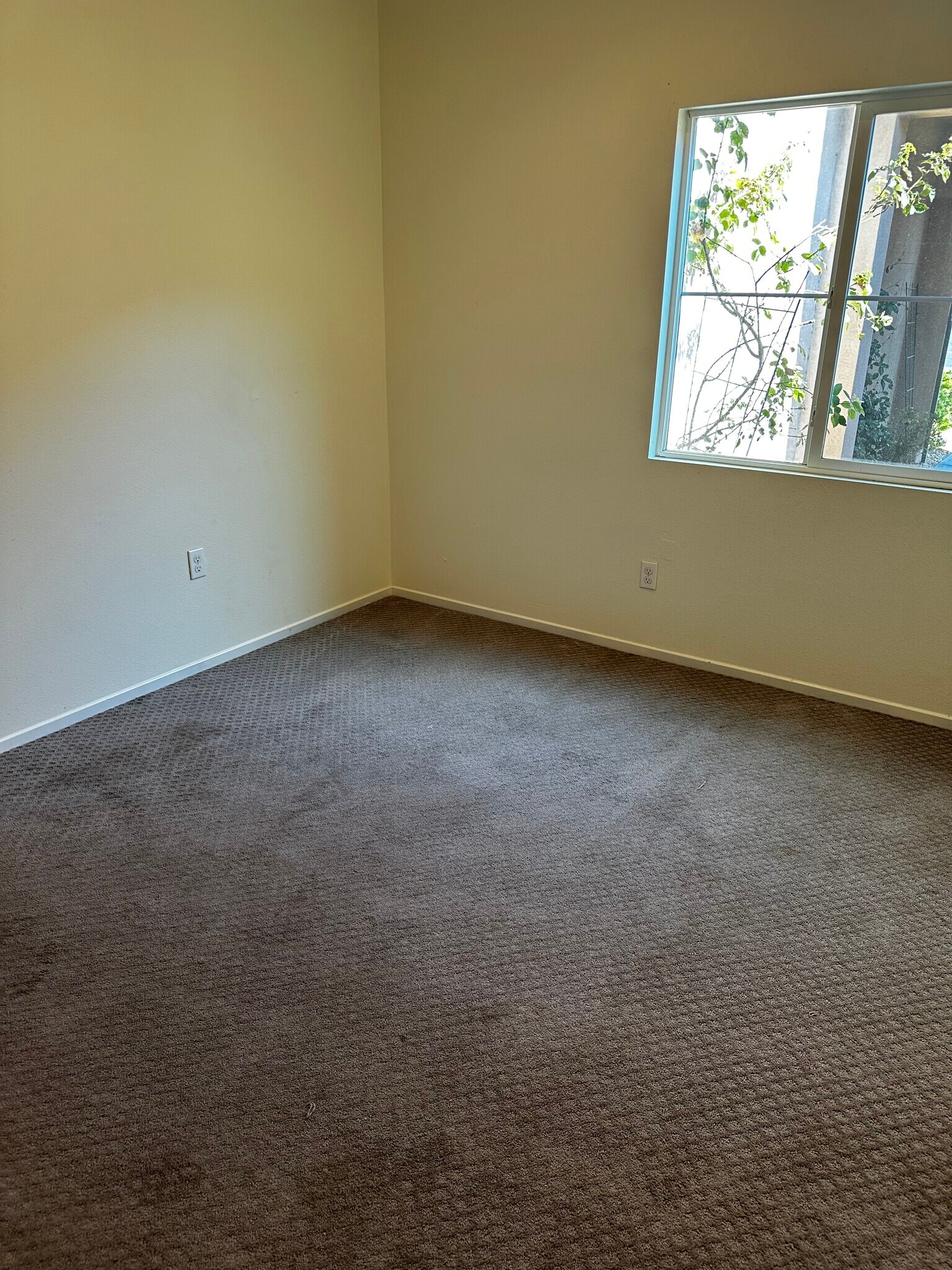 3rd Bedroom - 83587 Moroccan Dr