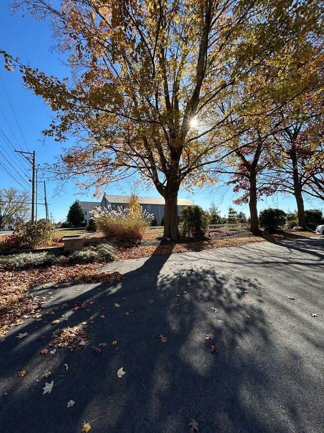 Building Photo - Beautiful, Large 4 Bedroom 1.5 Bath Home in Lancaster with Yard!