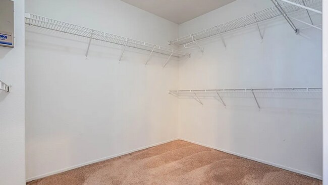 Building Photo - Gorgeous Four Bedroom Three Bathroom Home in Winchester