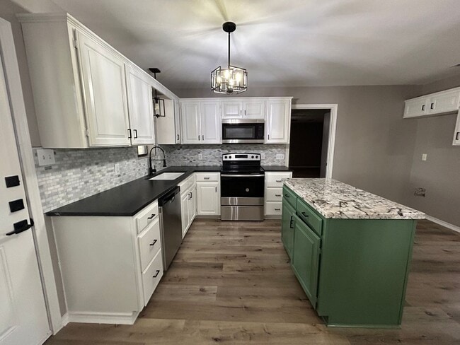 Building Photo - Lakeside Dream Home: Fully Remodeled 4BD/2BA Near Loop 323