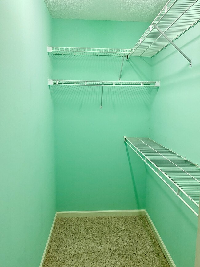 Master Walk in closet - 137 Skipwyth Cir