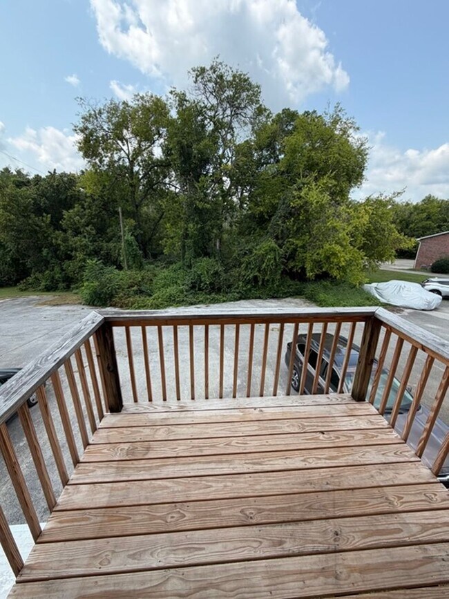 Building Photo - 1533-1539 Meadow Spring Dr