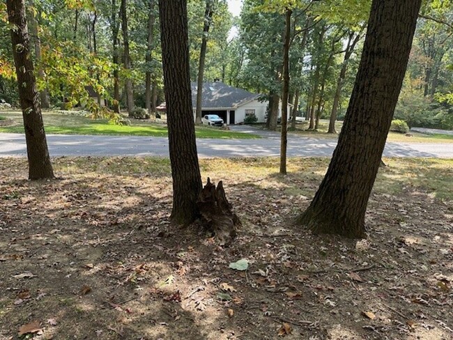 Building Photo - Country Charmer-4 Bedroom Log Home