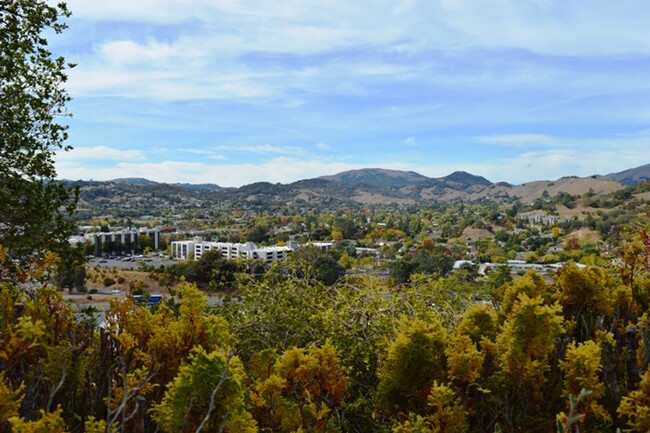 Primary Photo - Updated Two Bedroom Condo with Views of th...