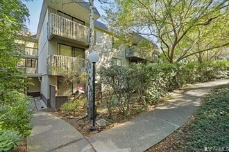 Building Photo - 2159 Shelter Creek Ln