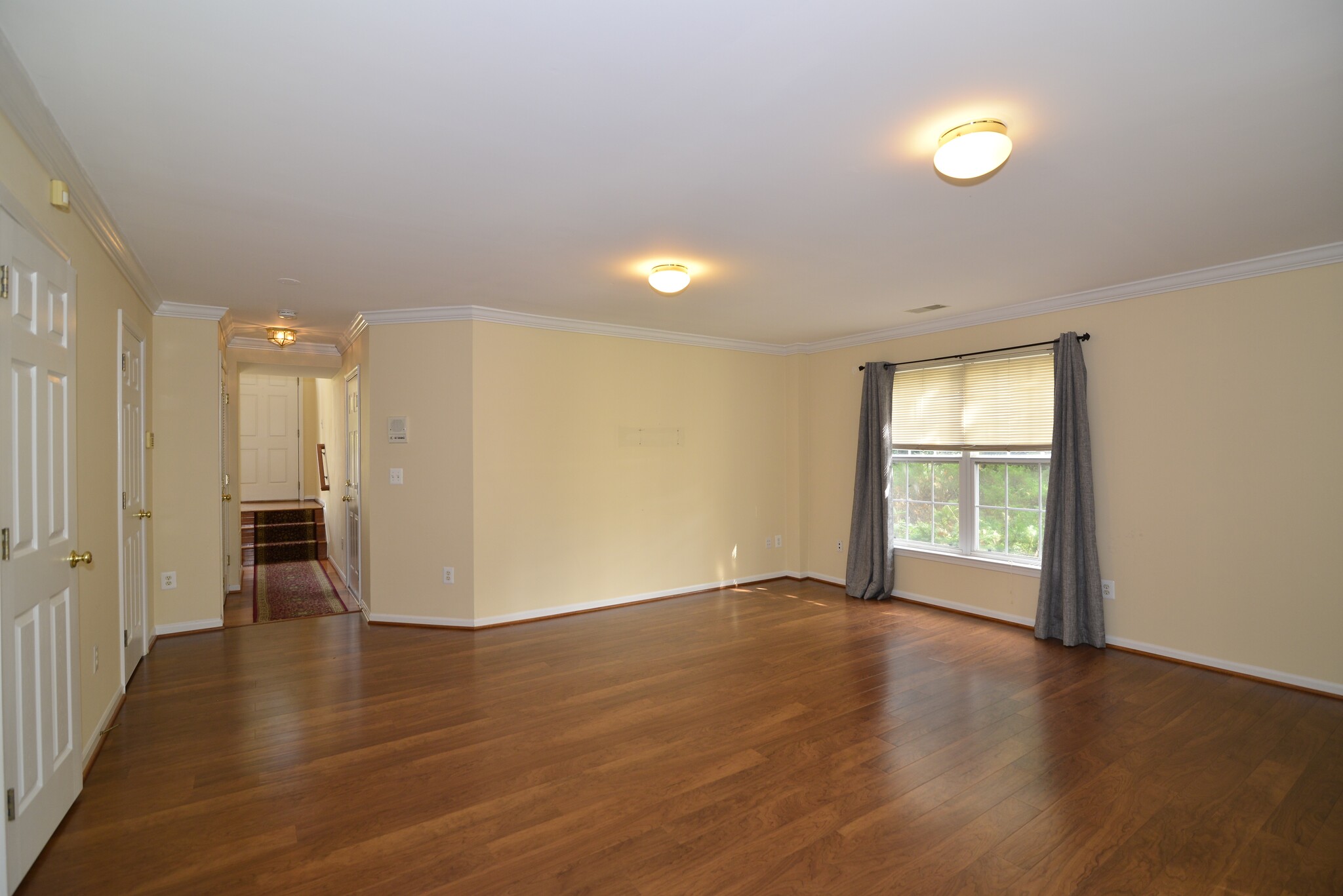 Lower Level3 - 11401 Abner Ave