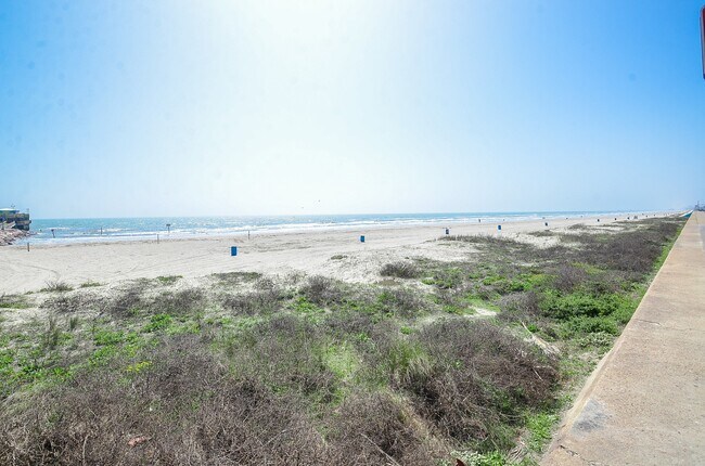 Building Photo - 6102 Seawall Blvd