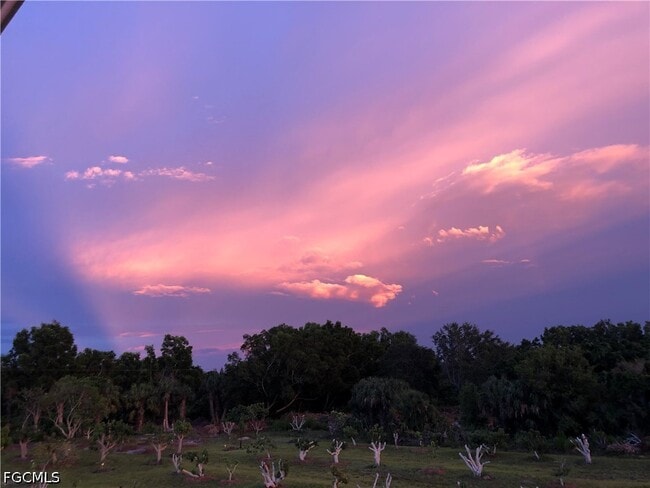 Building Photo - 13098 Ficus Tree Ln
