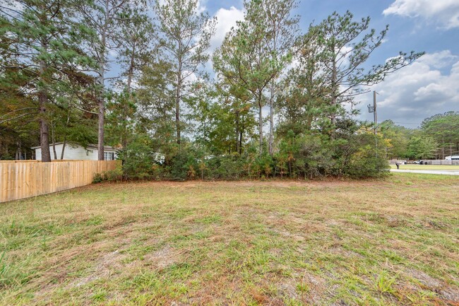 Building Photo - 4 Bedroom 2.5 Bath Home in Pine Hill - Sum...