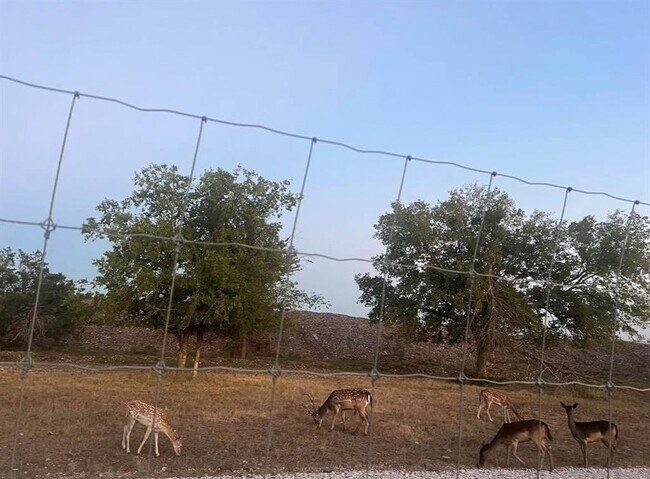 Building Photo - 11305 Sentinel Dr