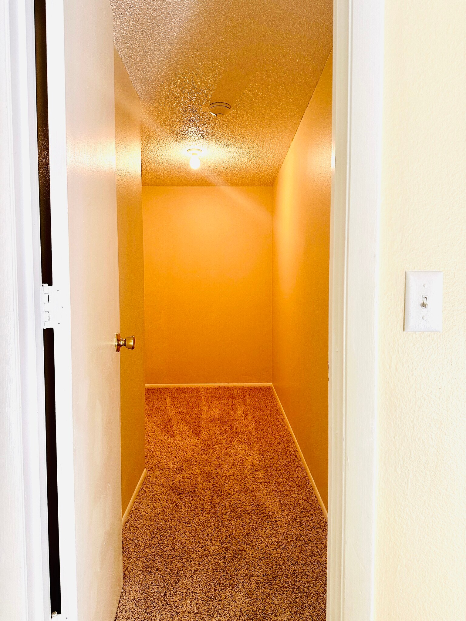 Building Photo - 2208 Bahia Vista St