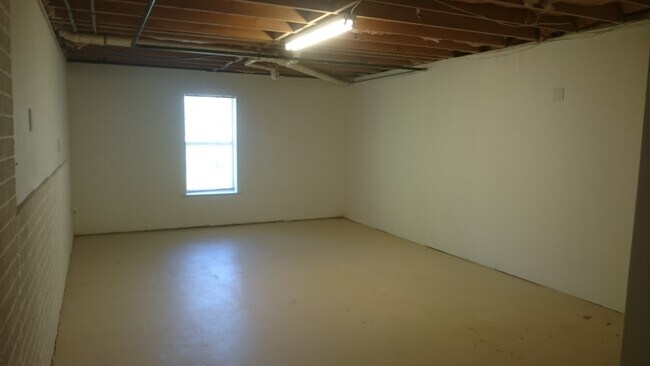 Basement Room 1 - 715 Beaver Run Trce