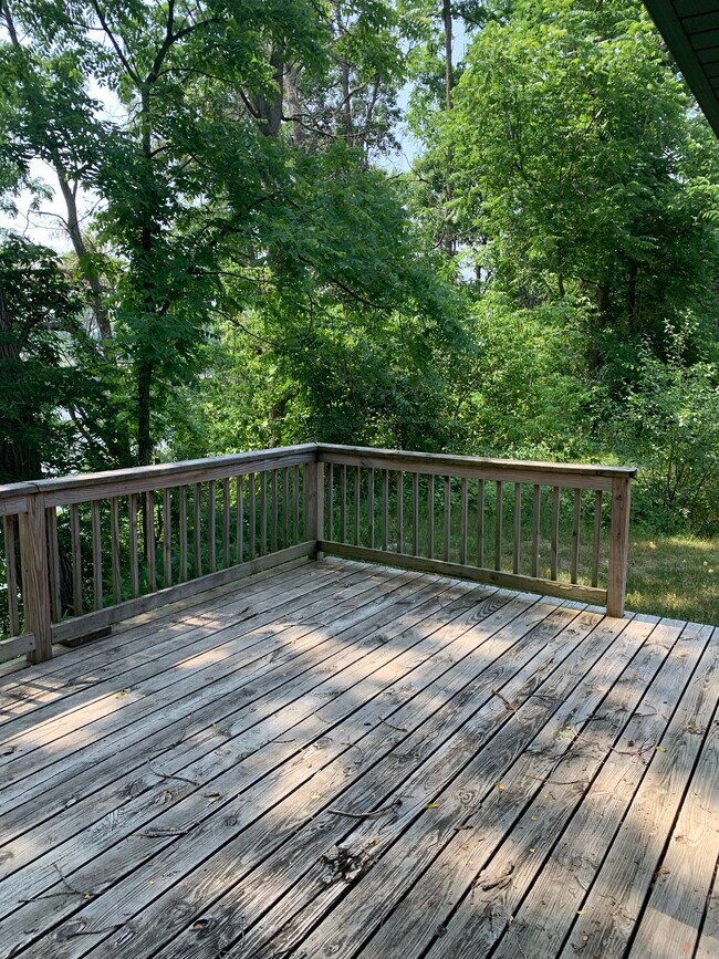 Deck - 317 River St