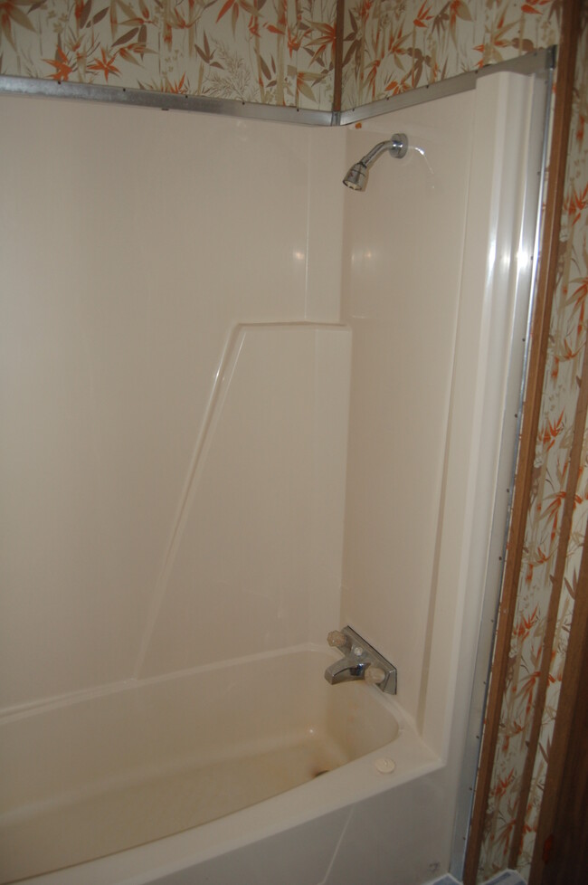 Master Bath Tub/Shower - 102 Menominee Trail