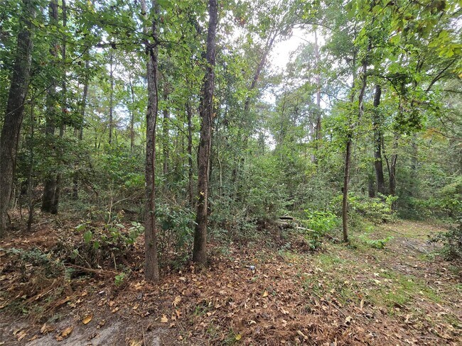 Building Photo - 573 Bluebonnet