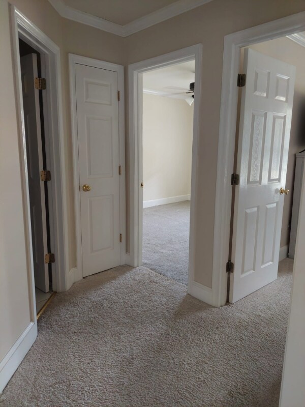 Building Photo - 14031 Rocky Rdg Dr