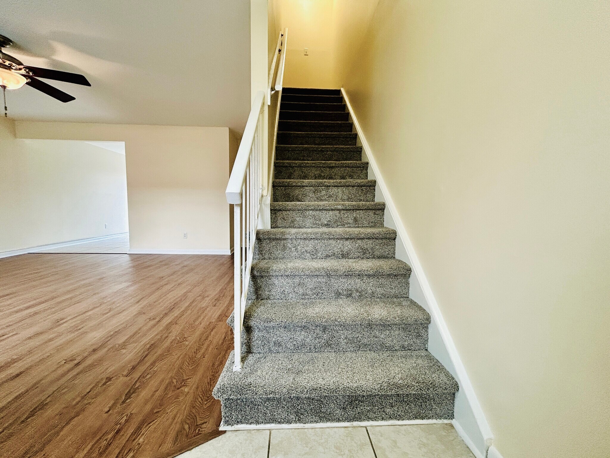 Living Room Entrance - 718 Spence Cir