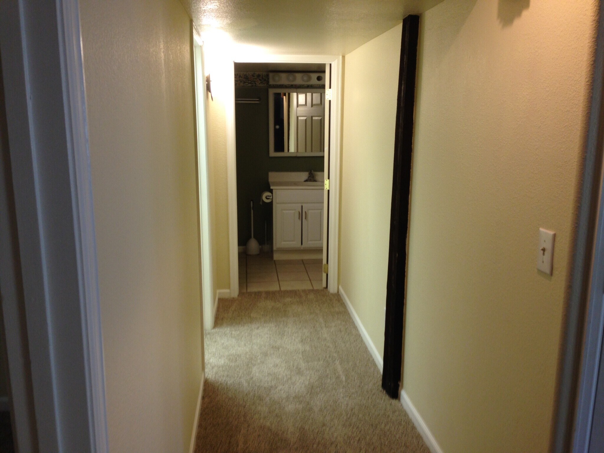 Hallway to bathroom - 49 Big Jack Court