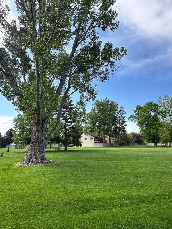 Building Photo - Fully Updated Townhouse in Mid-Town Ft Collins - Available Now!