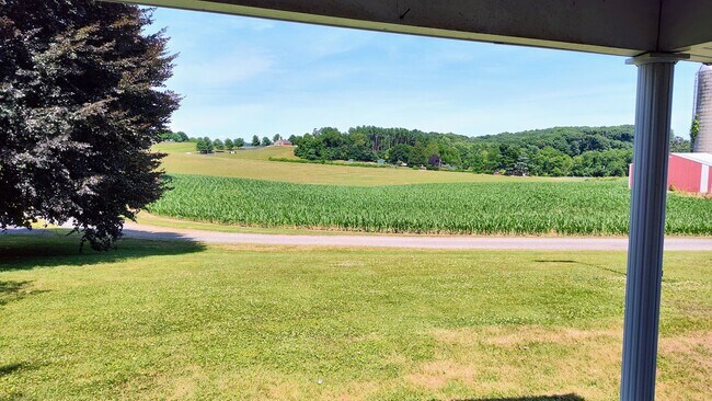 Building Photo - JARRETTSVILLE SINGLE FAMILY HOME ON WORKING FARM
