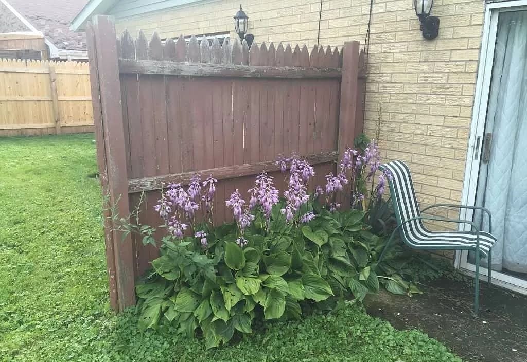 Backyard - 540 Charles St