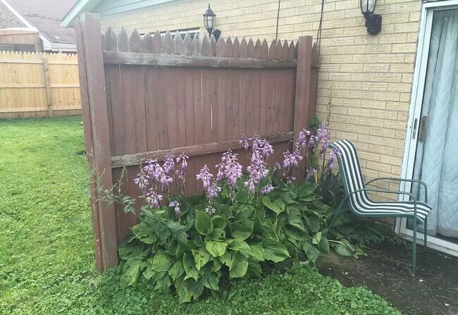 Backyard - 540 Charles St