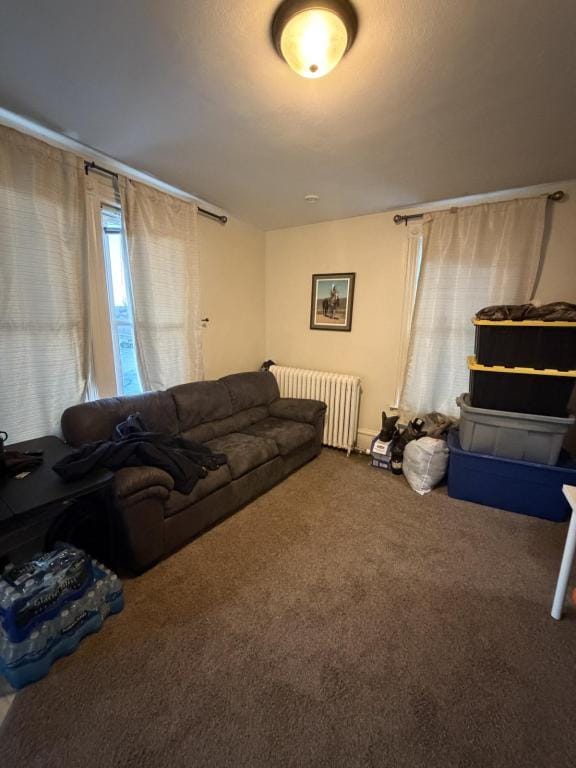 Building Photo - 1028 Banks Ave