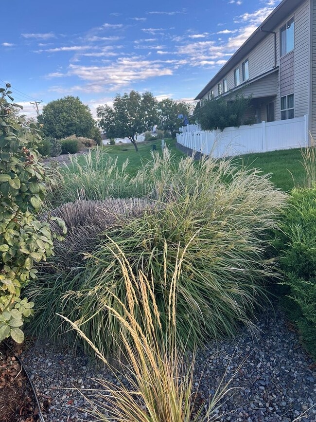Building Photo - 2484 1/2 Brokwillow Loop